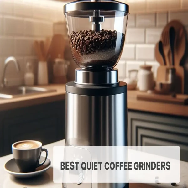 I Used & Ranked the Best Quiet Coffee Grinders in 2024